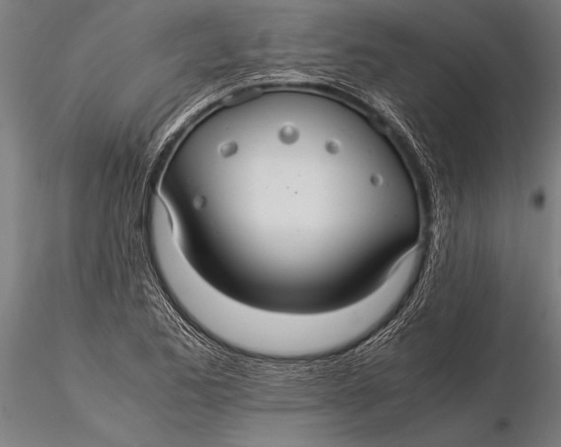 X0000116061173200912111521