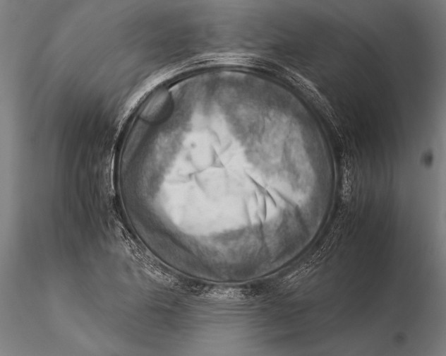 X0000116061174200912111521