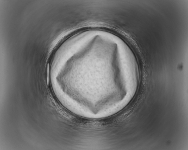 X0000116061175200912111521