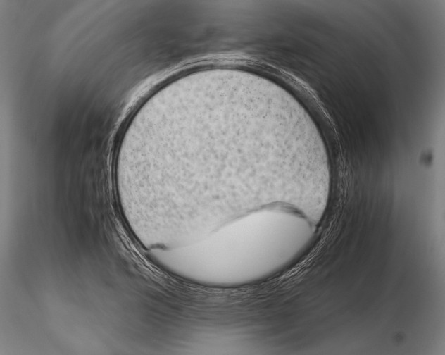 X0000116061176200912111521