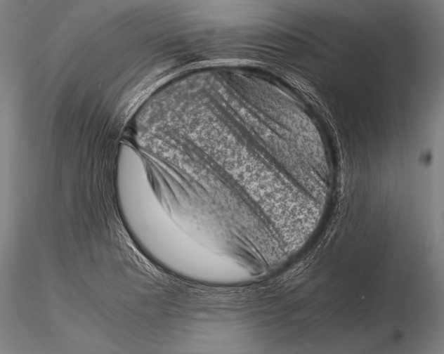 X0000116061177200912111521