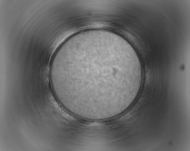 X0000116061178200912111521