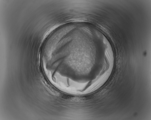 X0000116061179200912111521