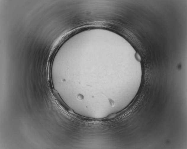 X0000116061180200912111521