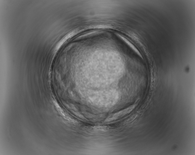 X0000116061181200912111521