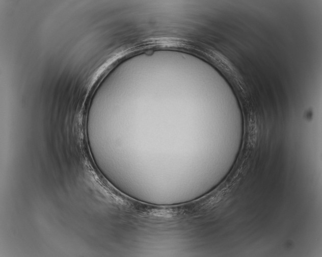 X0000116061182200912111521