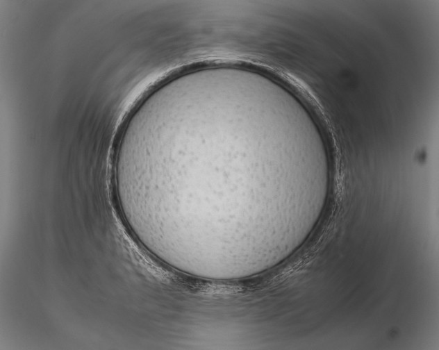 X0000116061183200912111521