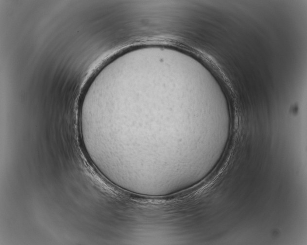 X0000116061184200912111521