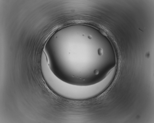 X0000116061185200912111521