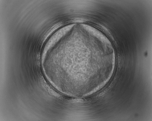 X0000116061186200912111520