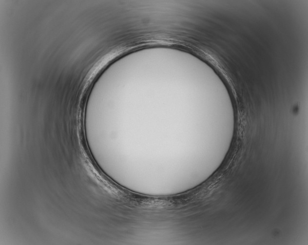 X0000116061187200912111520