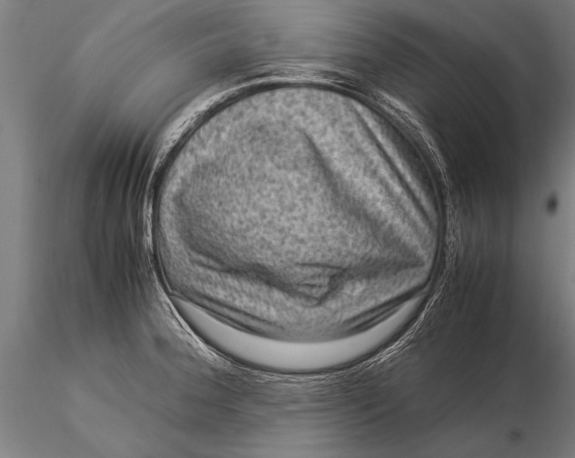 X0000116061188200912111520