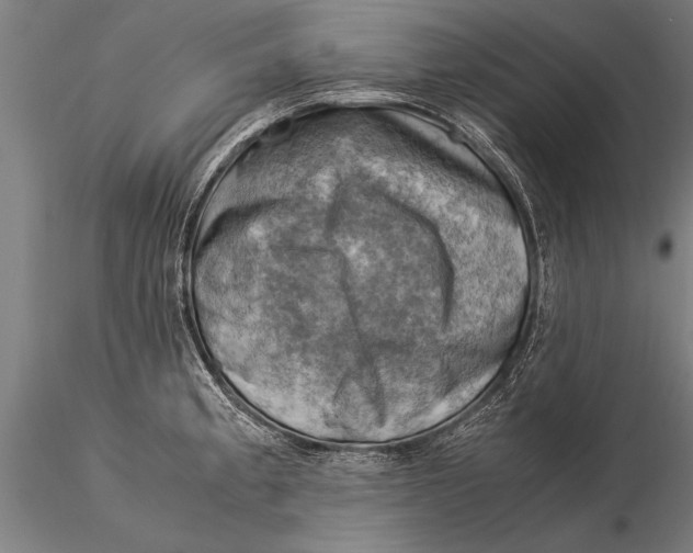 X0000116061189200912111520