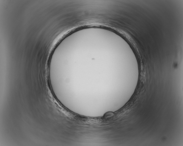 X0000116061191200912111520