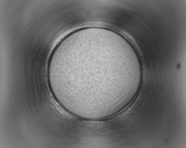 X0000116061192200912111520