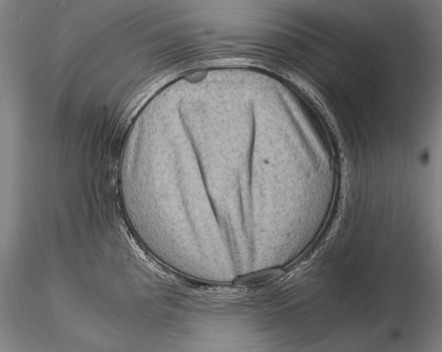 X0000116061193200912111520