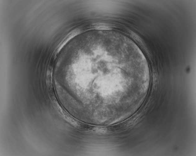 X0000116061194200912111520