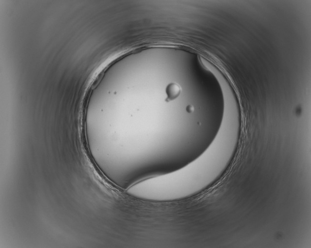 X0000116061195200912111520