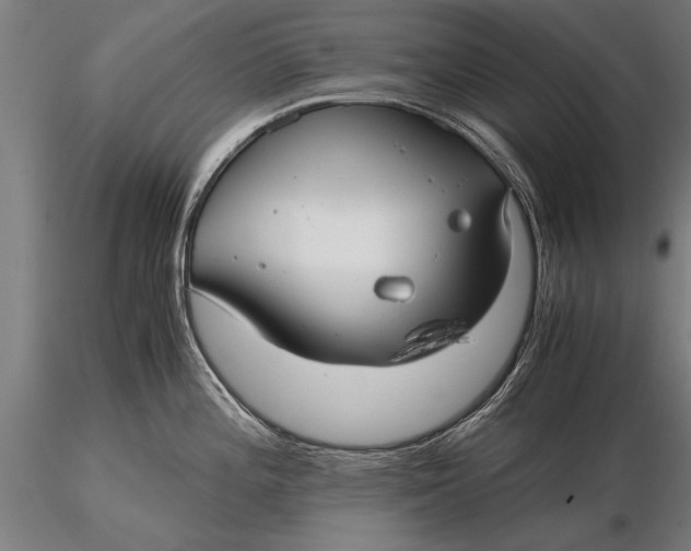 X0000116061196200912111520