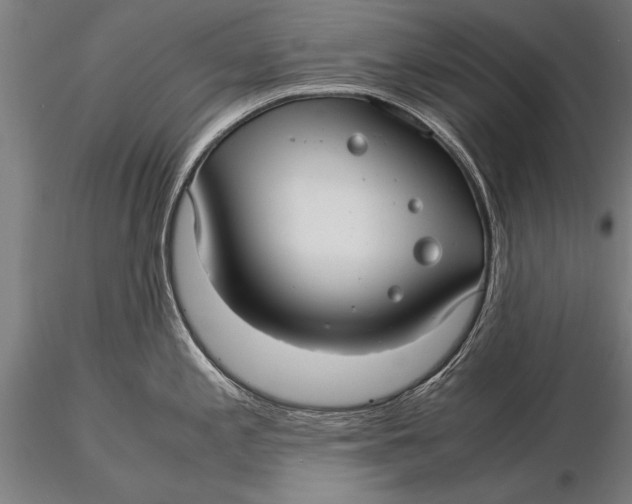 X0000116061197200912111520