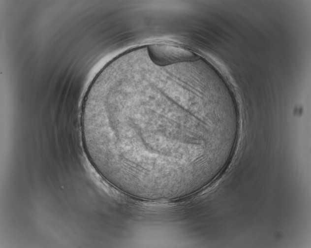 X0000116061200200912111520