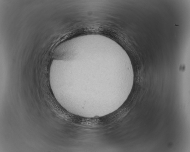 X0000116061201200912111519