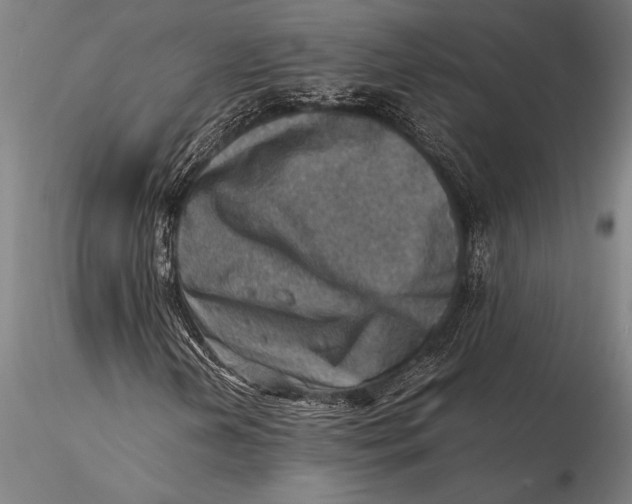 X0000116061202200912111519