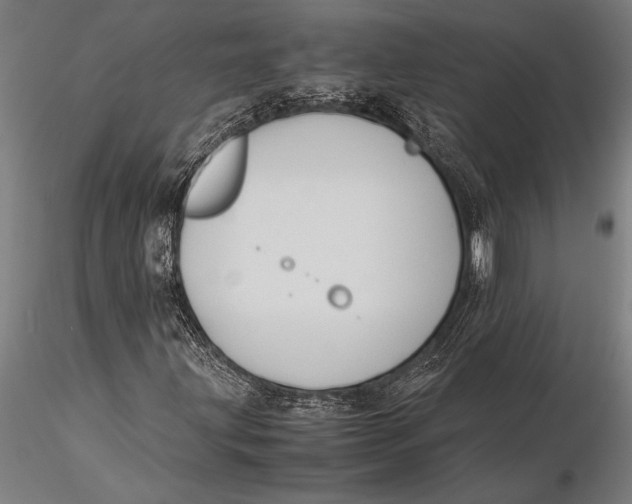 X0000116061203200912111519