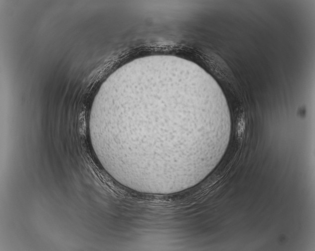 X0000116061204200912111519