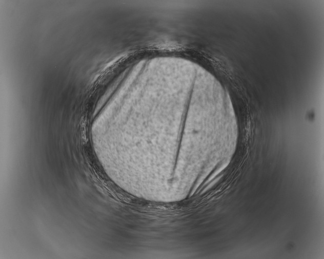 X0000116061205200912111519