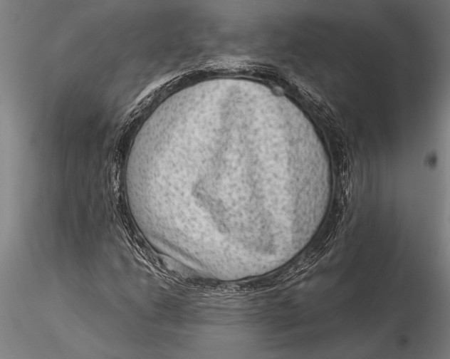 X0000116061206200912111519