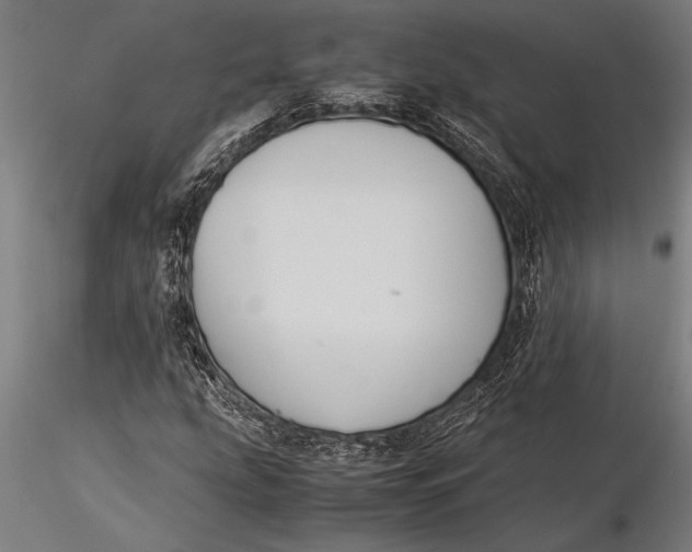 X0000116061207200912111520