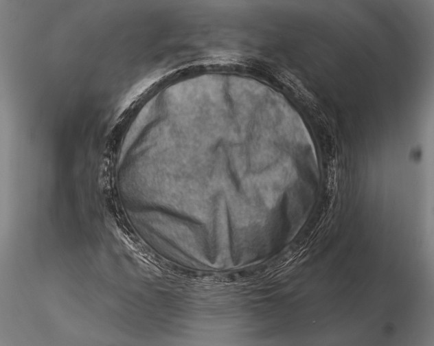 X0000116061208200912111520