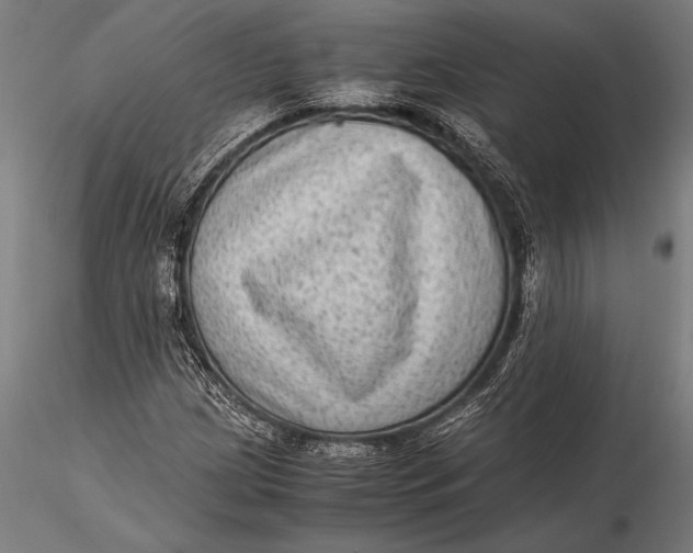 X0000116061209200912111520