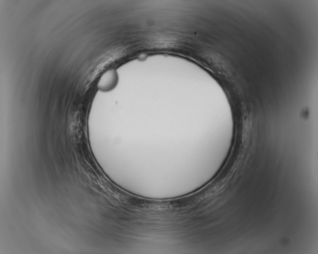 X0000116061210200912111520