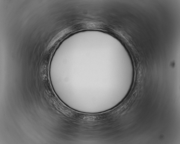 X0000116061211200912111520