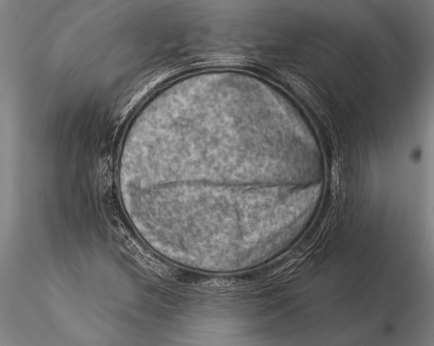 X0000116061212200912111520