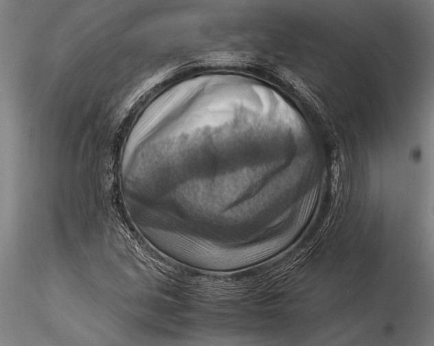 X0000116061213200912111520