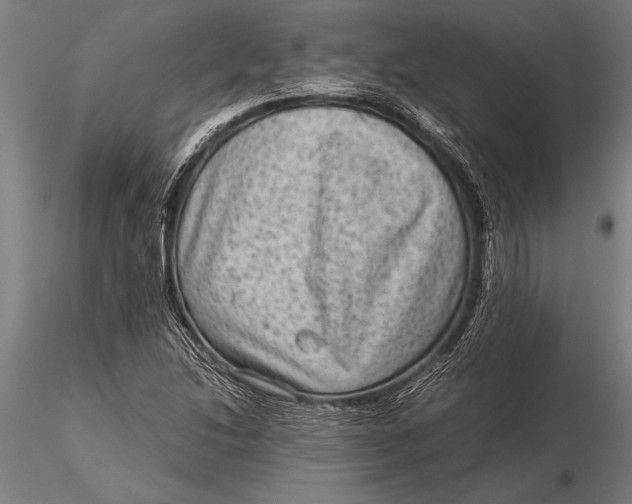 X0000116061214200912111520