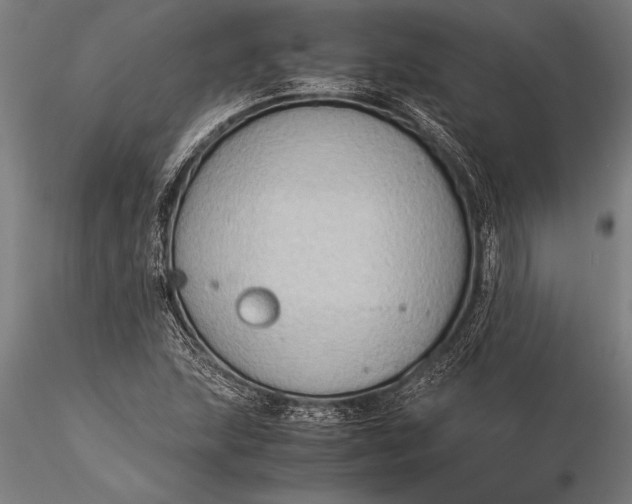 X0000116061215200912111520