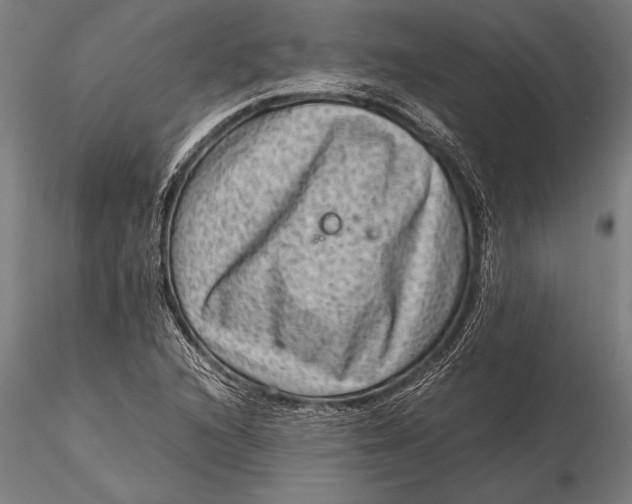 X0000116061216200912111520