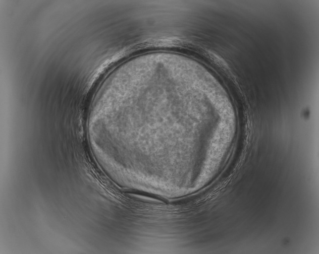 X0000116061218200912111520