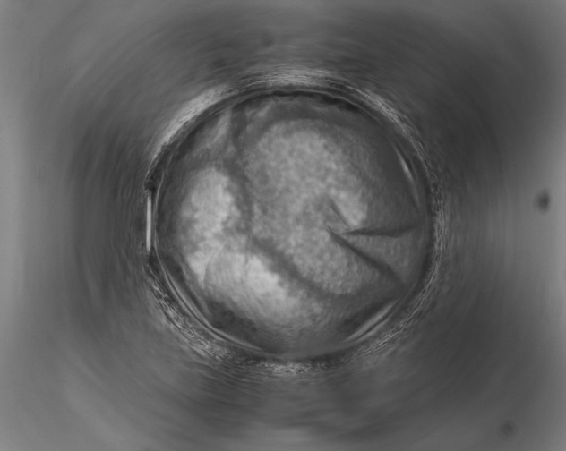 X0000116061219200912111520