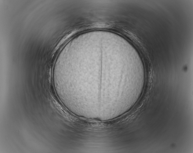 X0000116061220200912111520