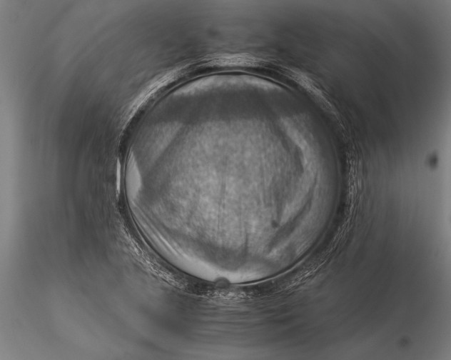 X0000116061221200912111520