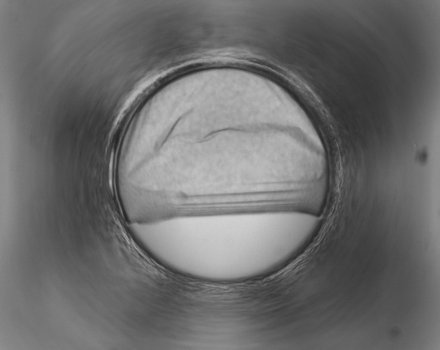 X0000116061224200912111520