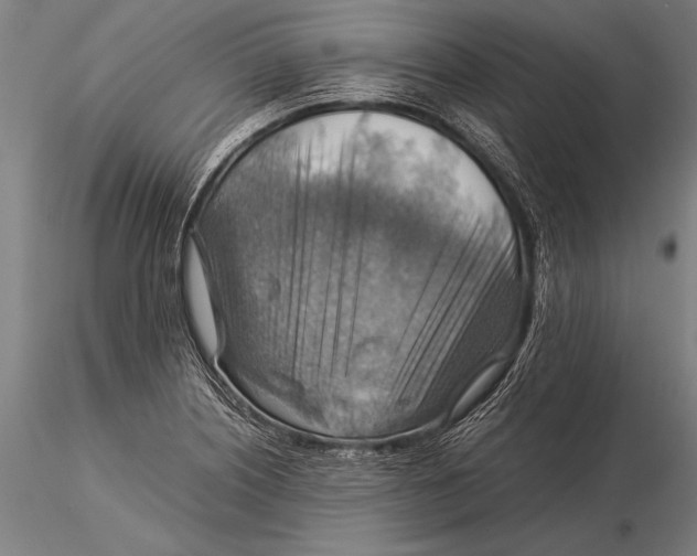 X0000116061226200912111520