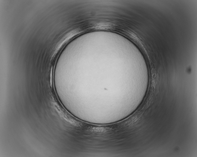 X0000116061227200912111520