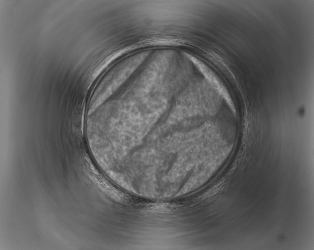 X0000116061228200912111520