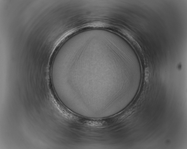 X0000116061229200912111520